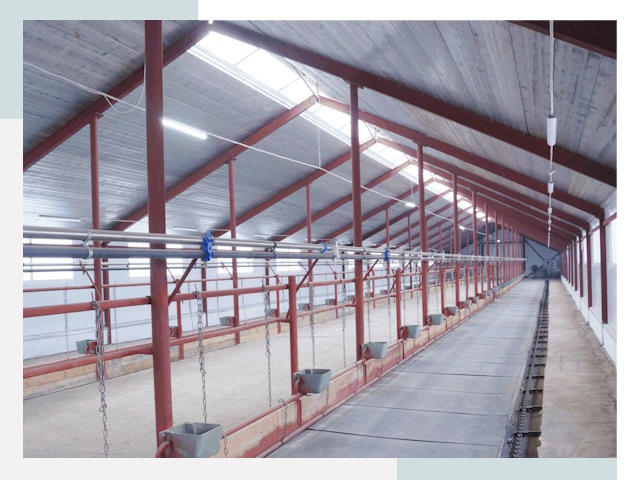 Строительство коровников в Сафонове от 615 руб.