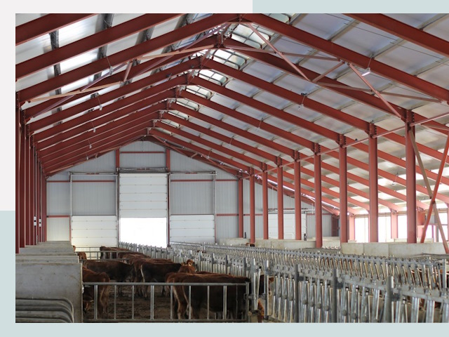 Строительство коровников в Сафонове