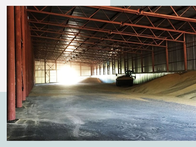 Строительство зернохранилищ в Сафонове