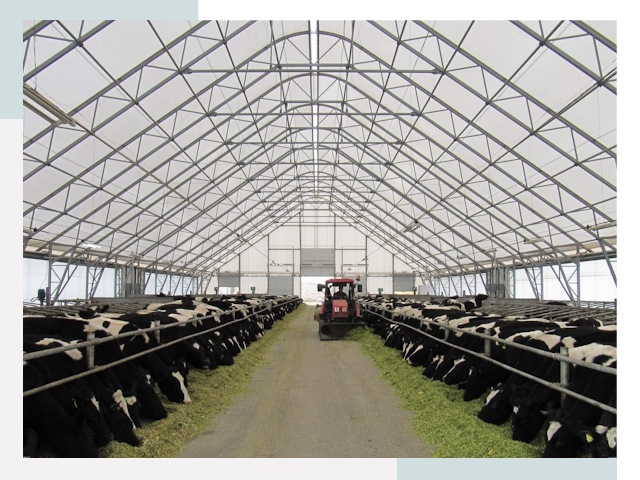 Тентовые коровники в Сафонове от 615 руб. - Надежно и доступно